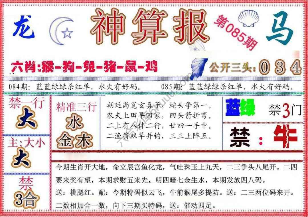神算报新版
