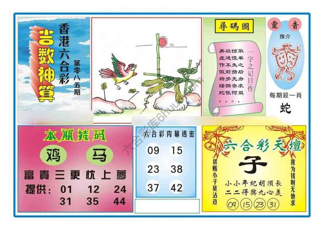 吉数神算