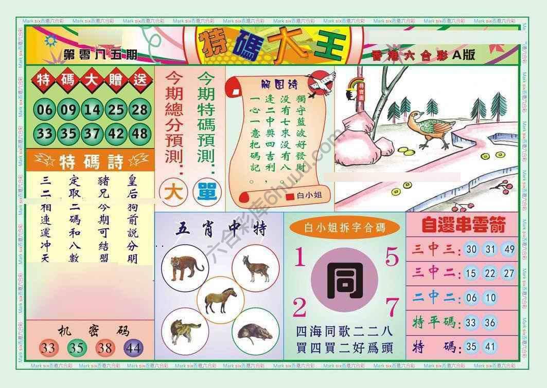 特码大王