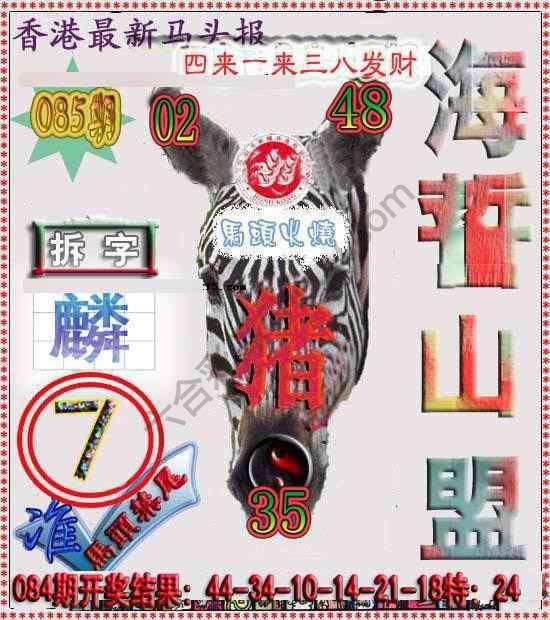 香港马头报