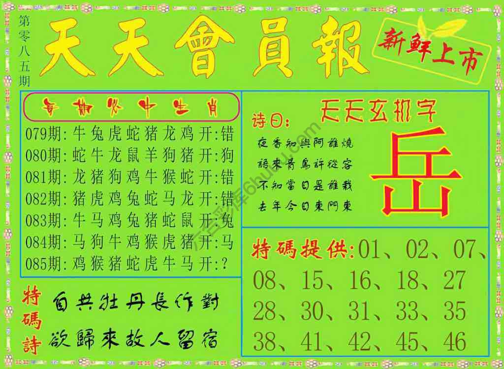 天天会员报