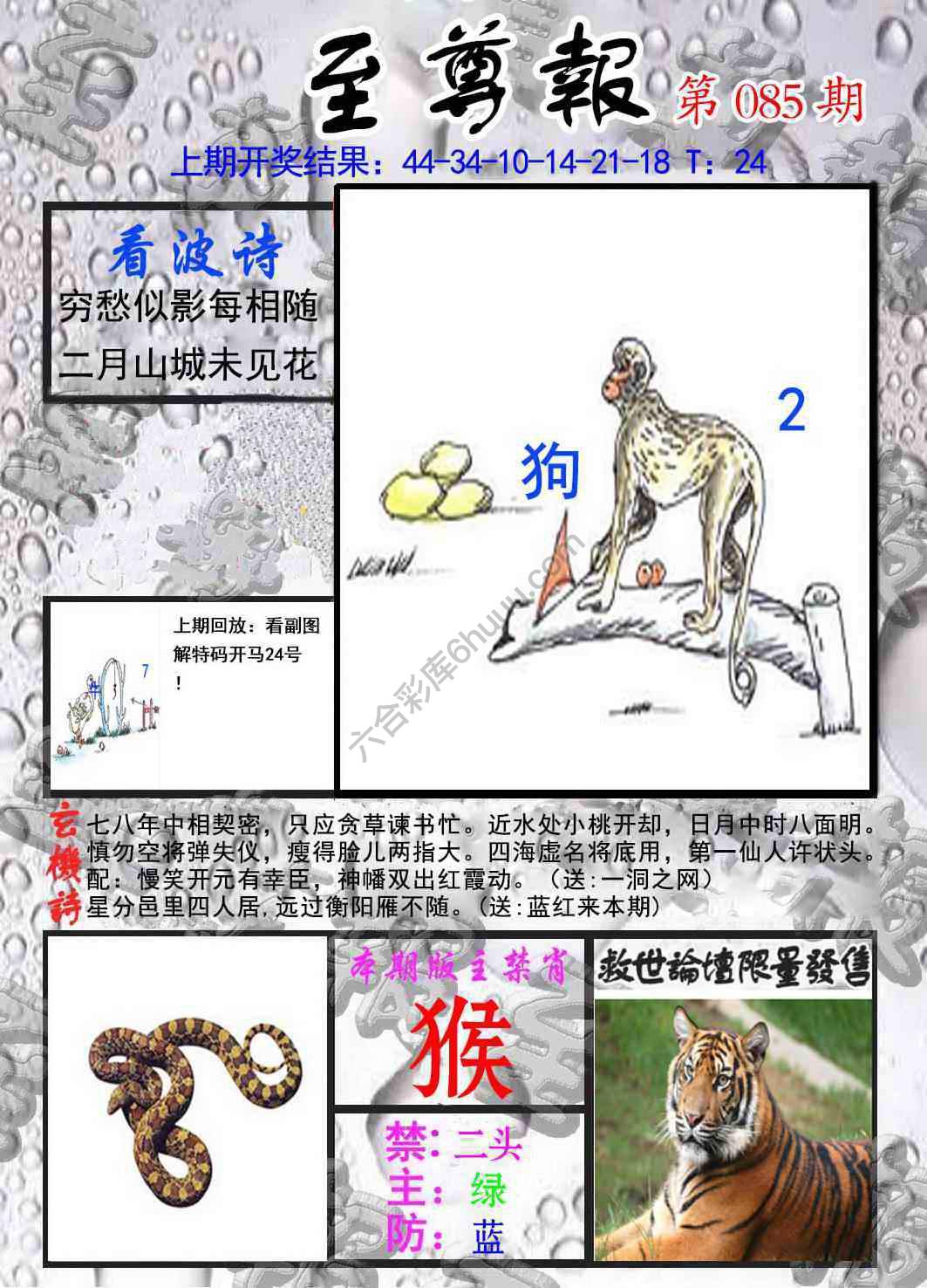 至尊报
