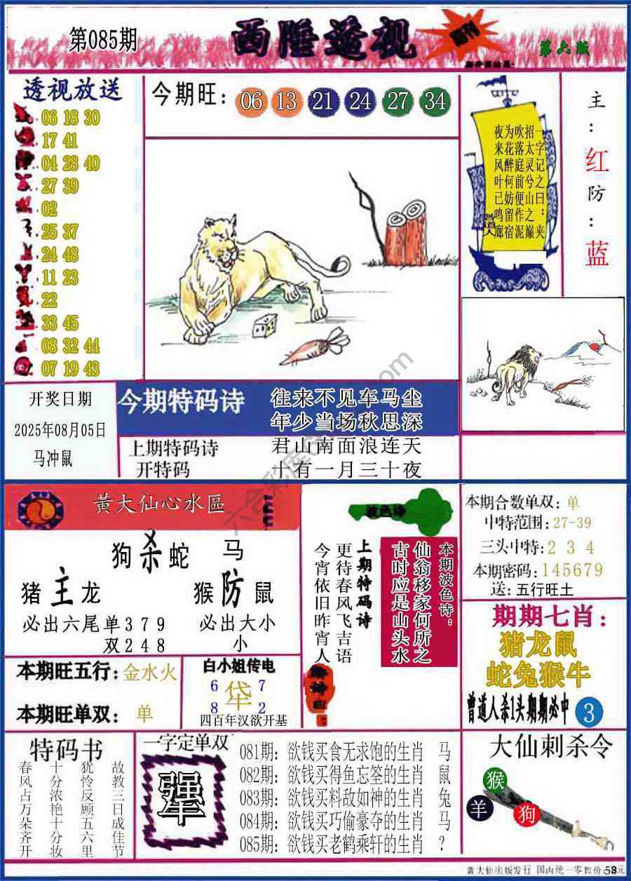 西陲透视（正版）