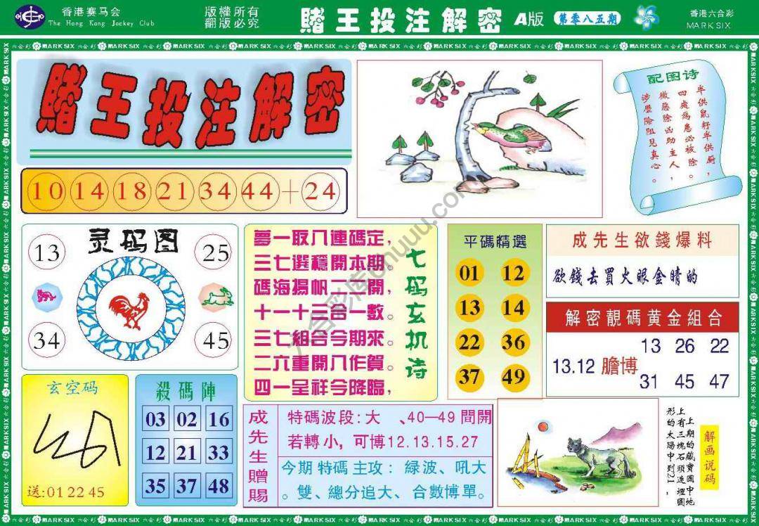 赌王投注解密