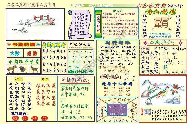 六合玄机(精华版)