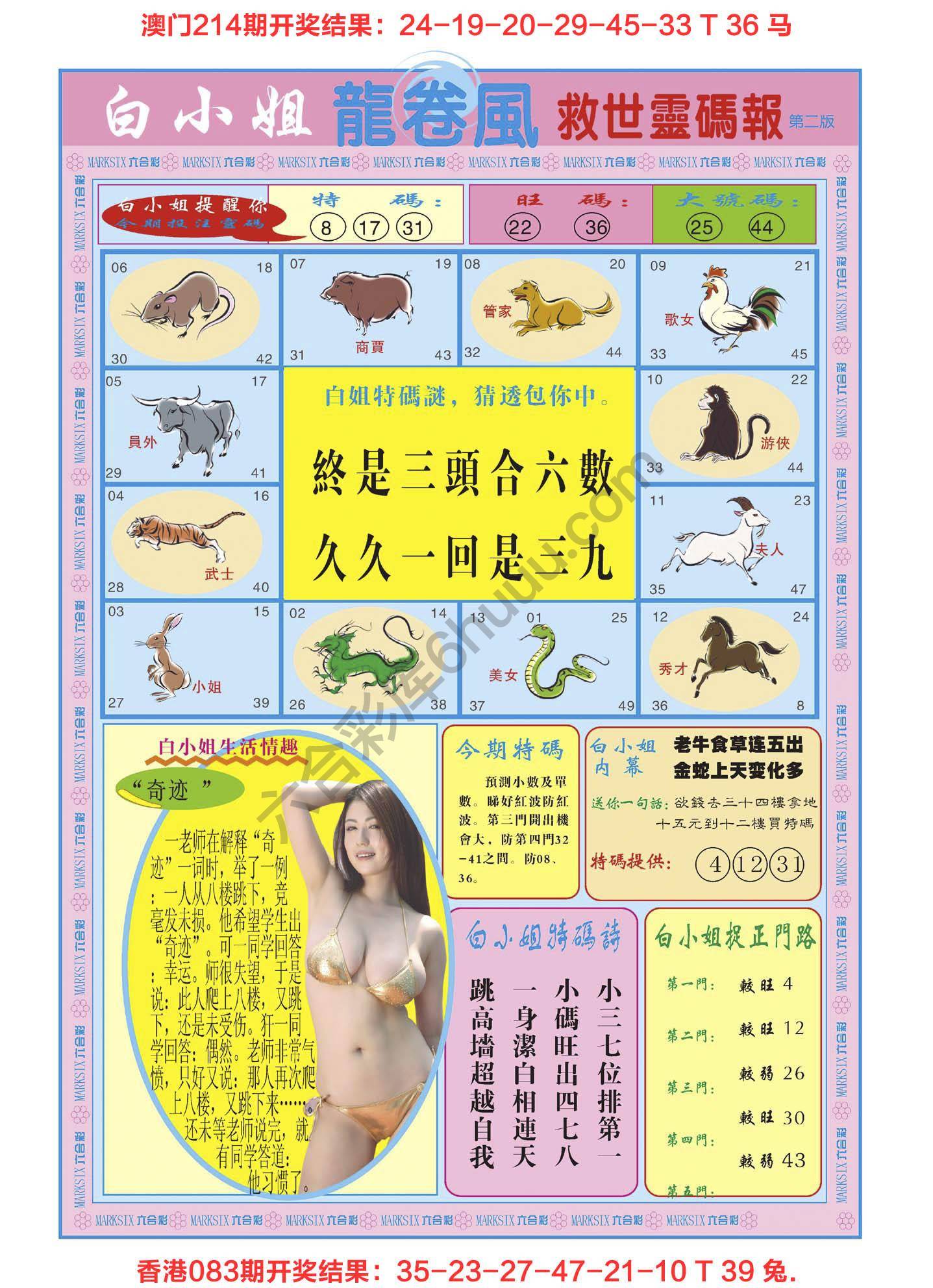 白小姐龙卷风