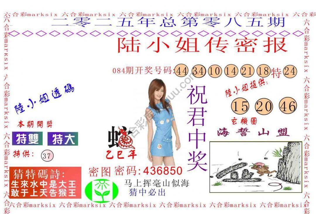 陆小姐传密