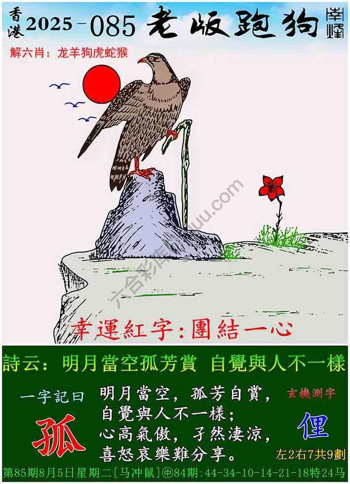 老版跑狗图