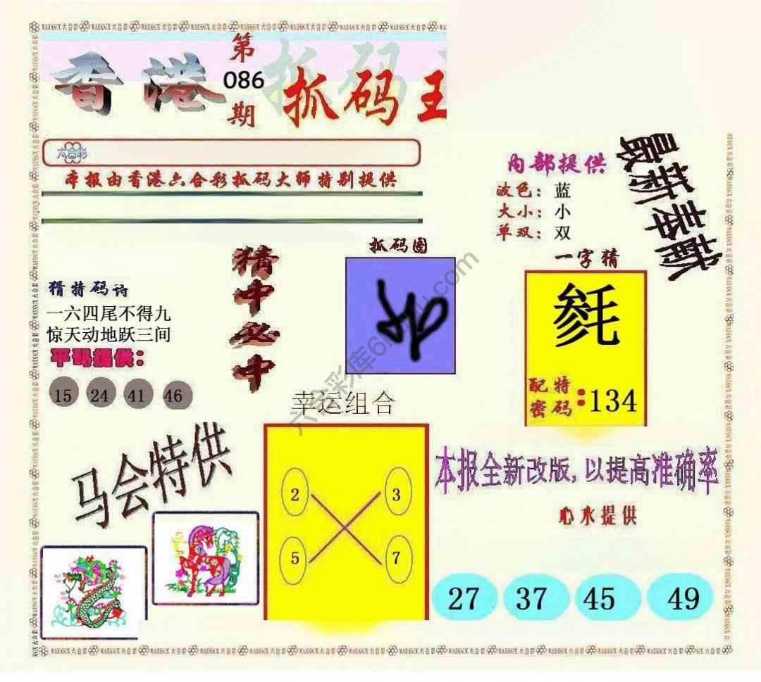新抓码王