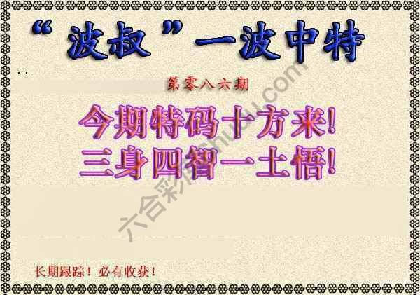 波叔一波中特
