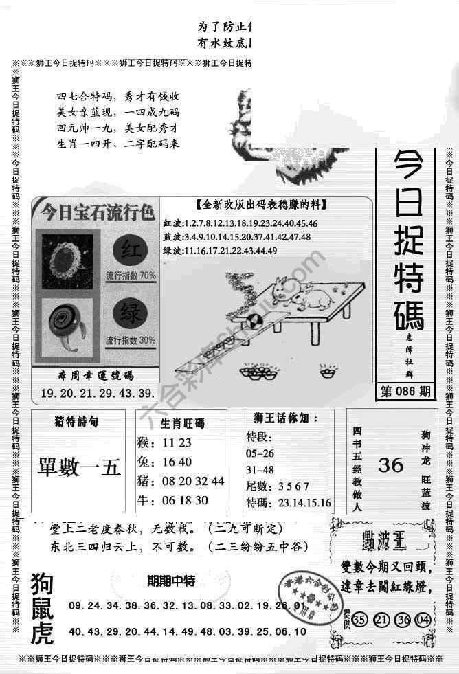 狮王今日抓特码