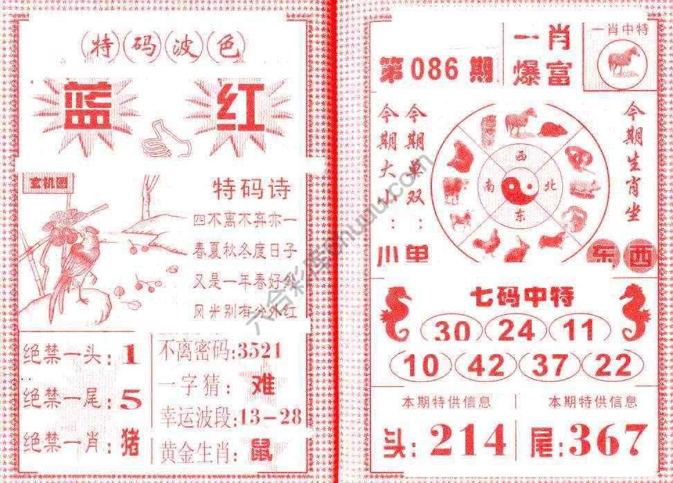 一肖爆富