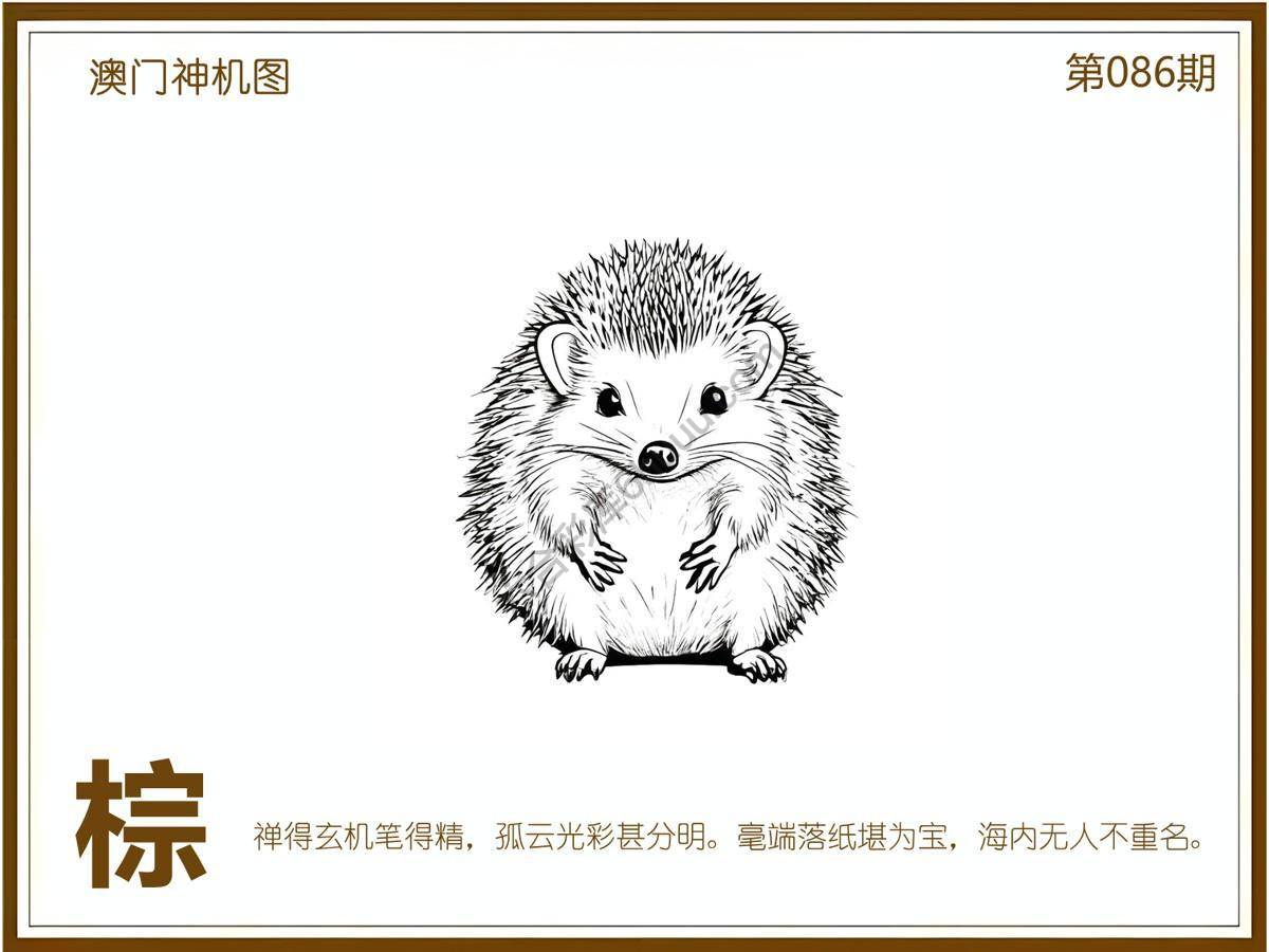 澳门神机图