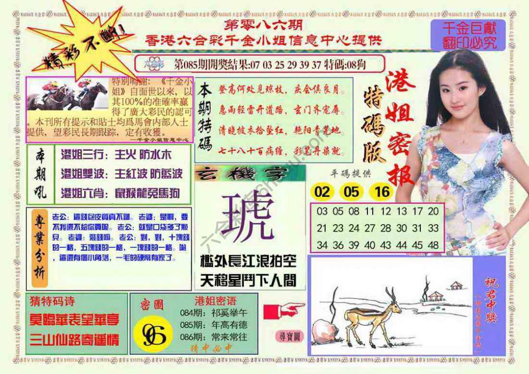 港姐密报
