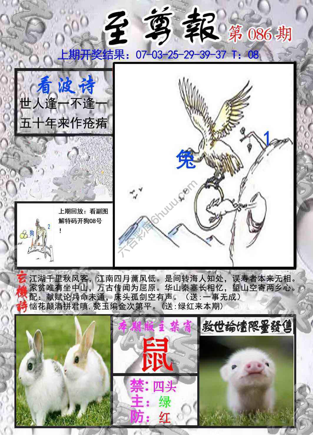 至尊报
