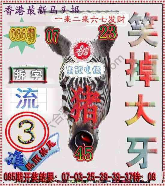 香港马头报