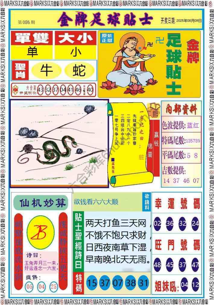 金牌足球贴士