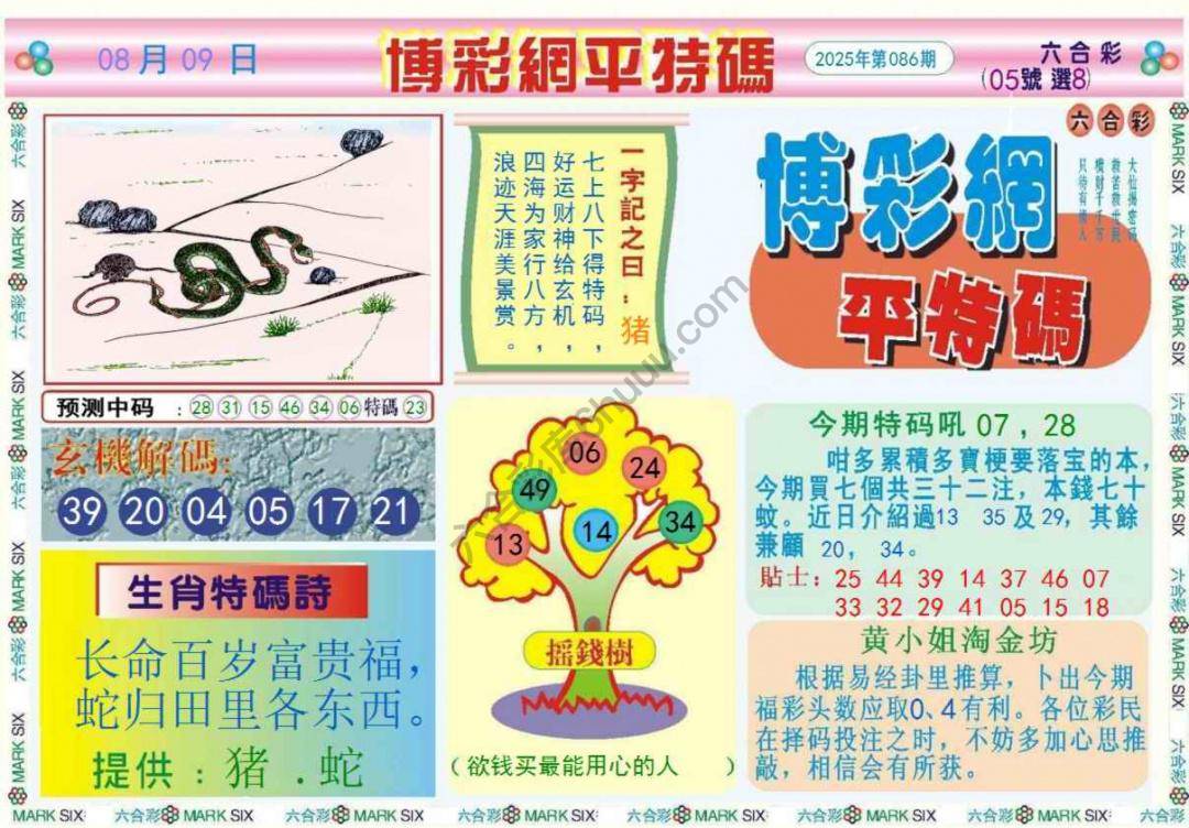 博彩网平特码