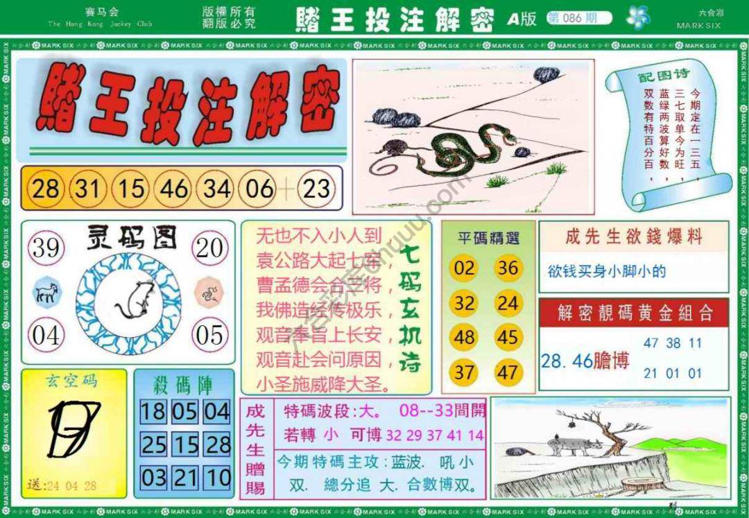 赌王投注解密