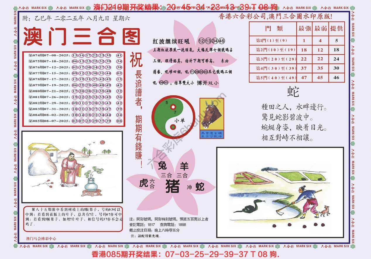 澳门三合图
