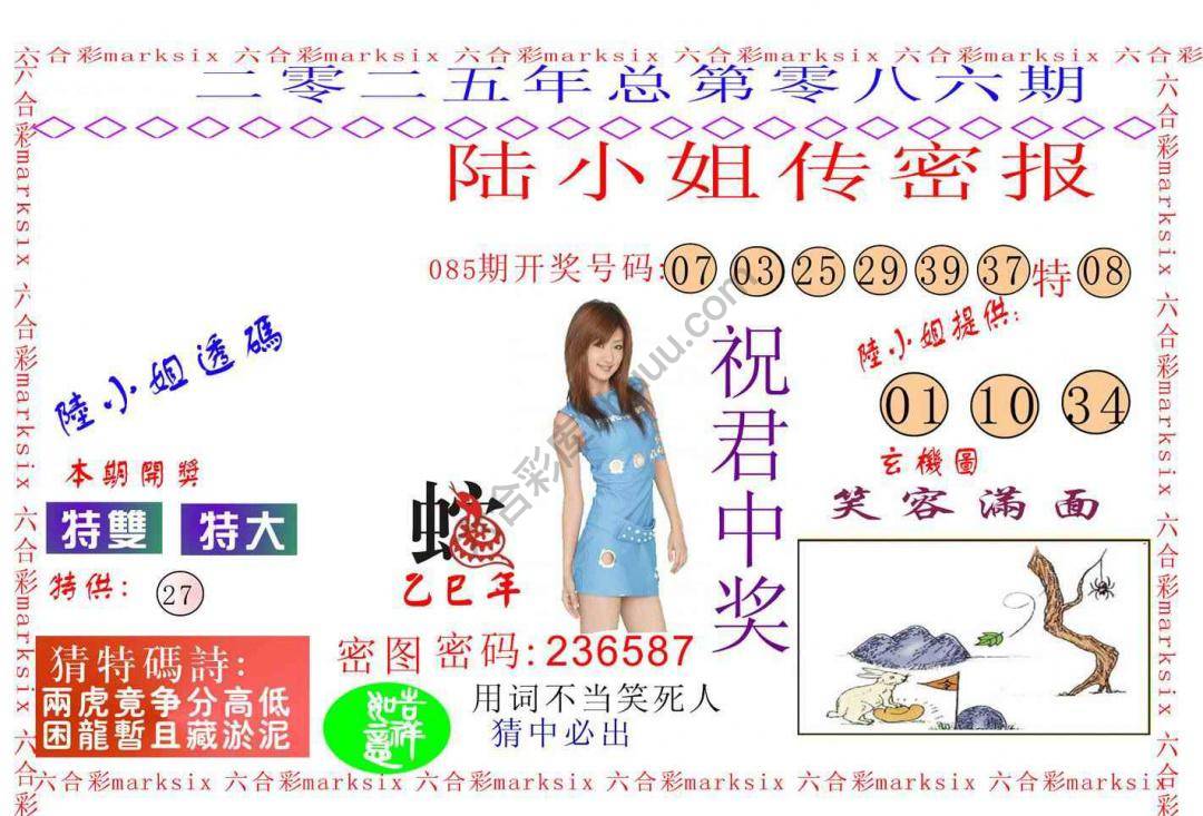 陆小姐传密