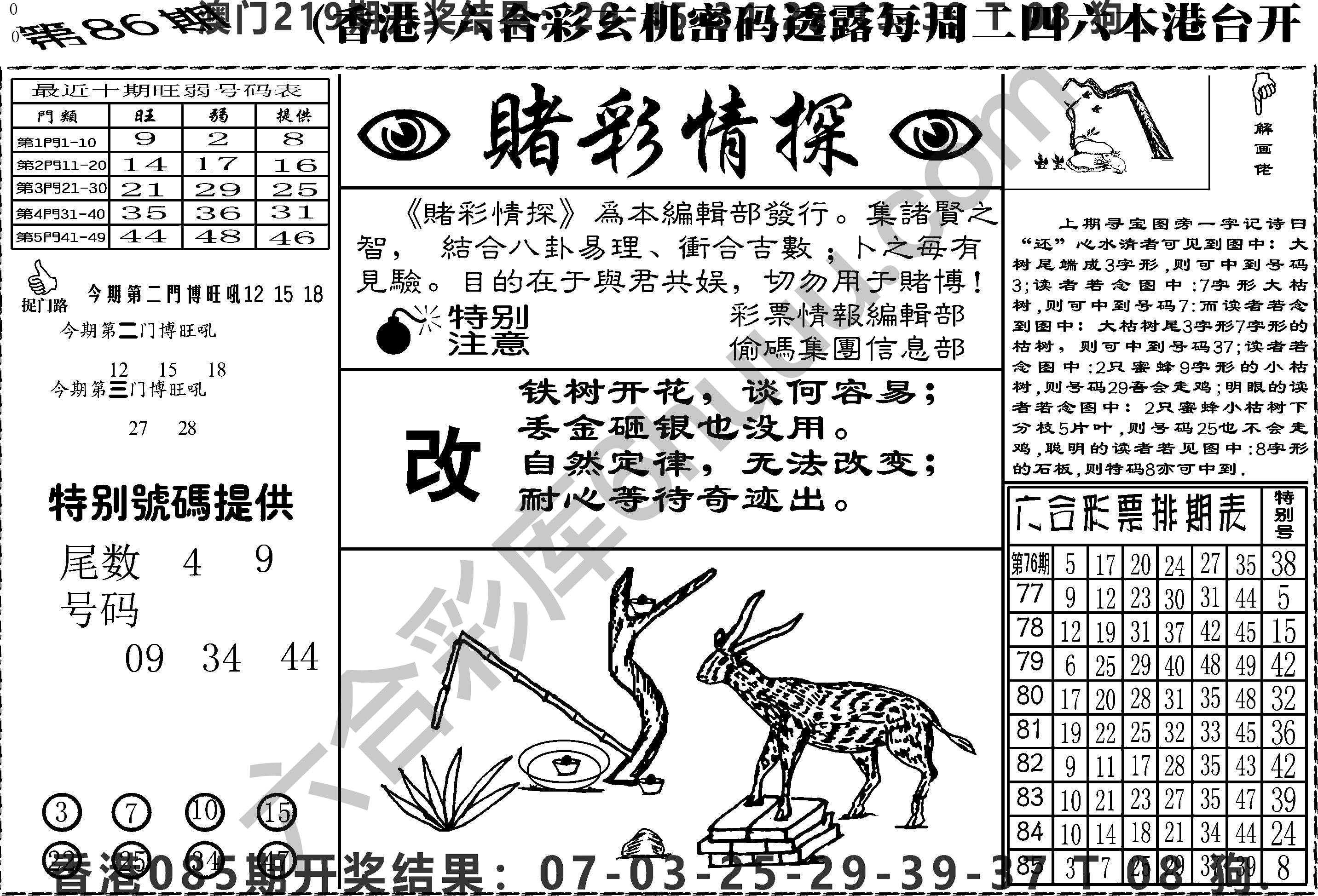 赌彩情探