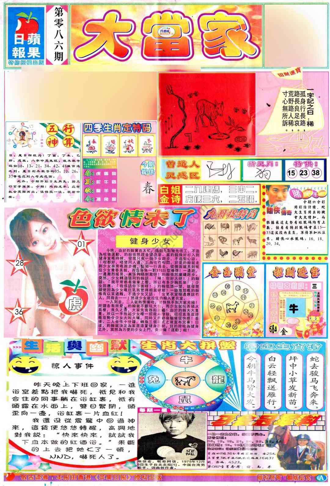 大当家