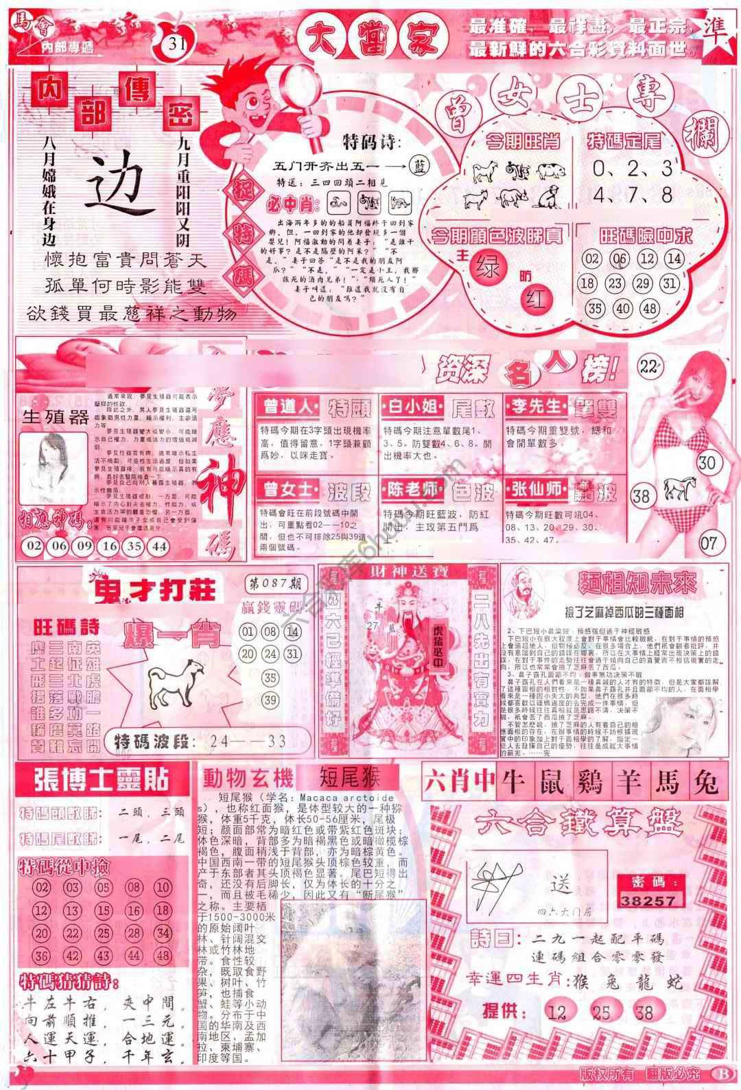 大当家