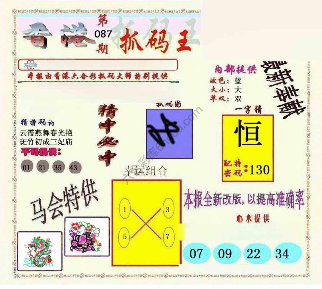 新抓码王