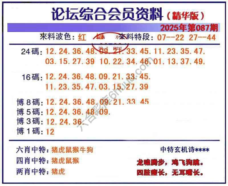 综合会员资料