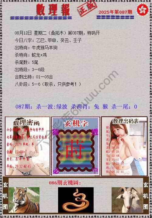 数理报