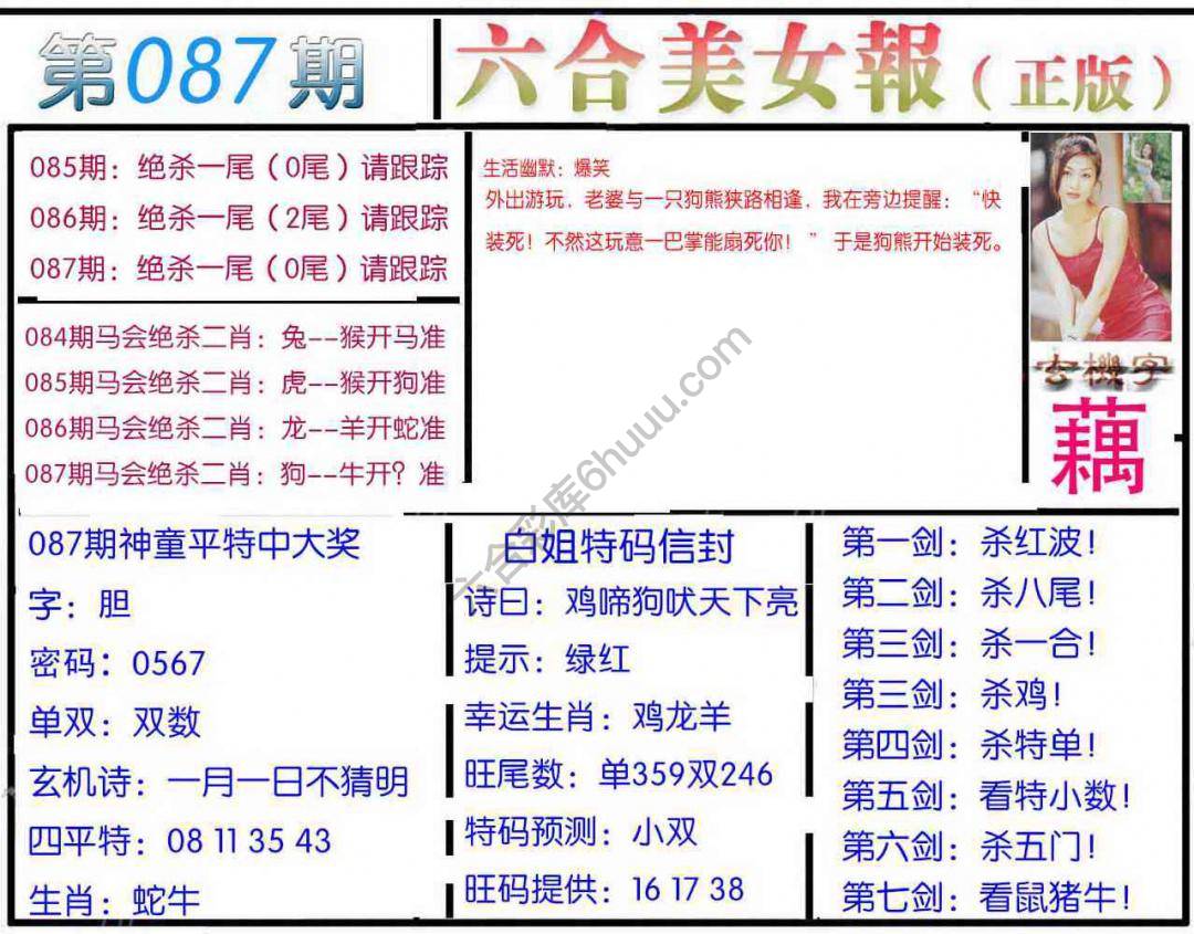 六合美女报