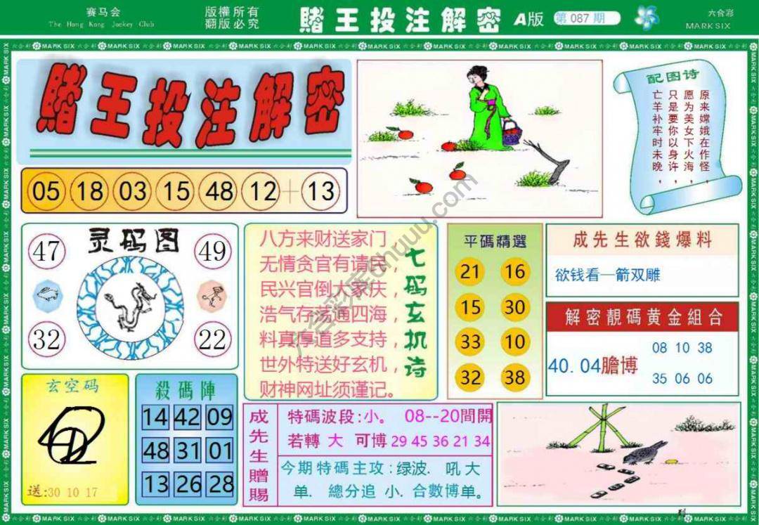 赌王投注解密