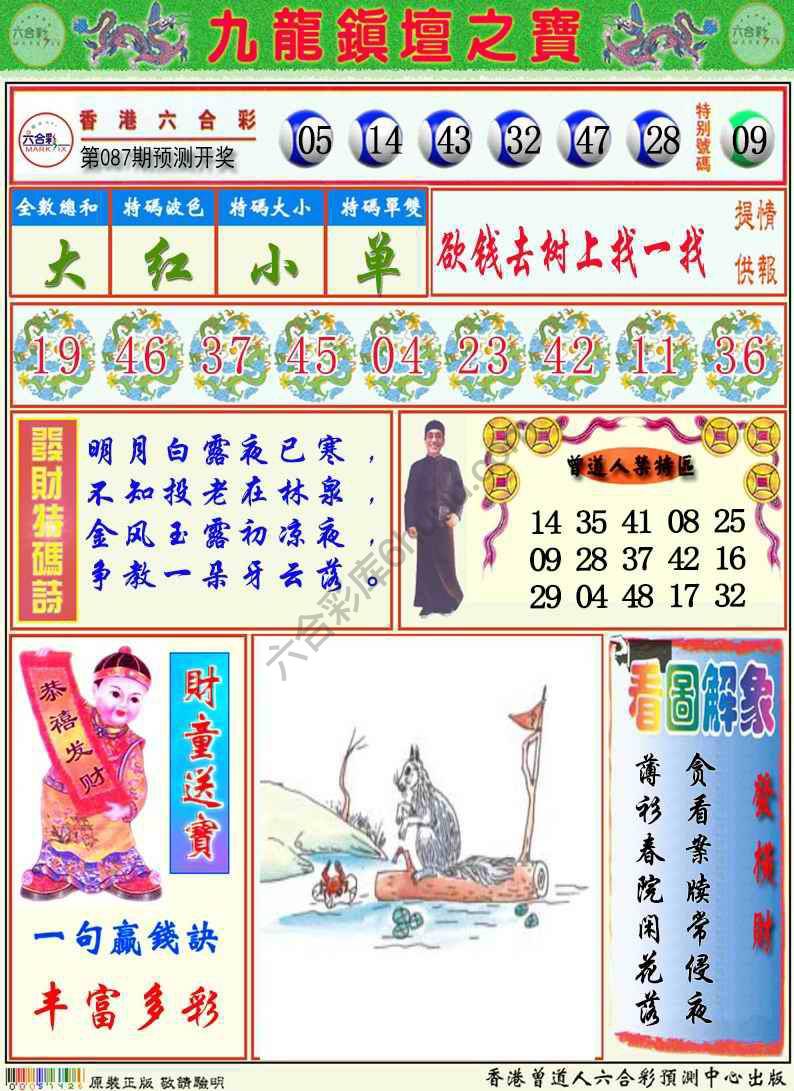 九龙挂牌解特码
