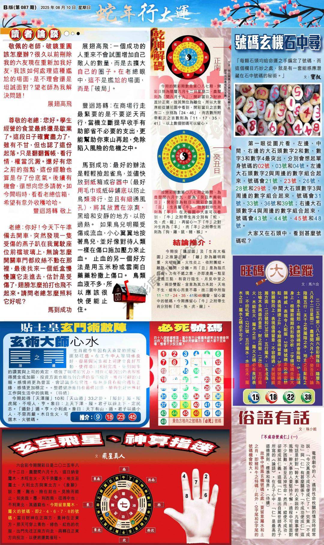 大版贴士皇