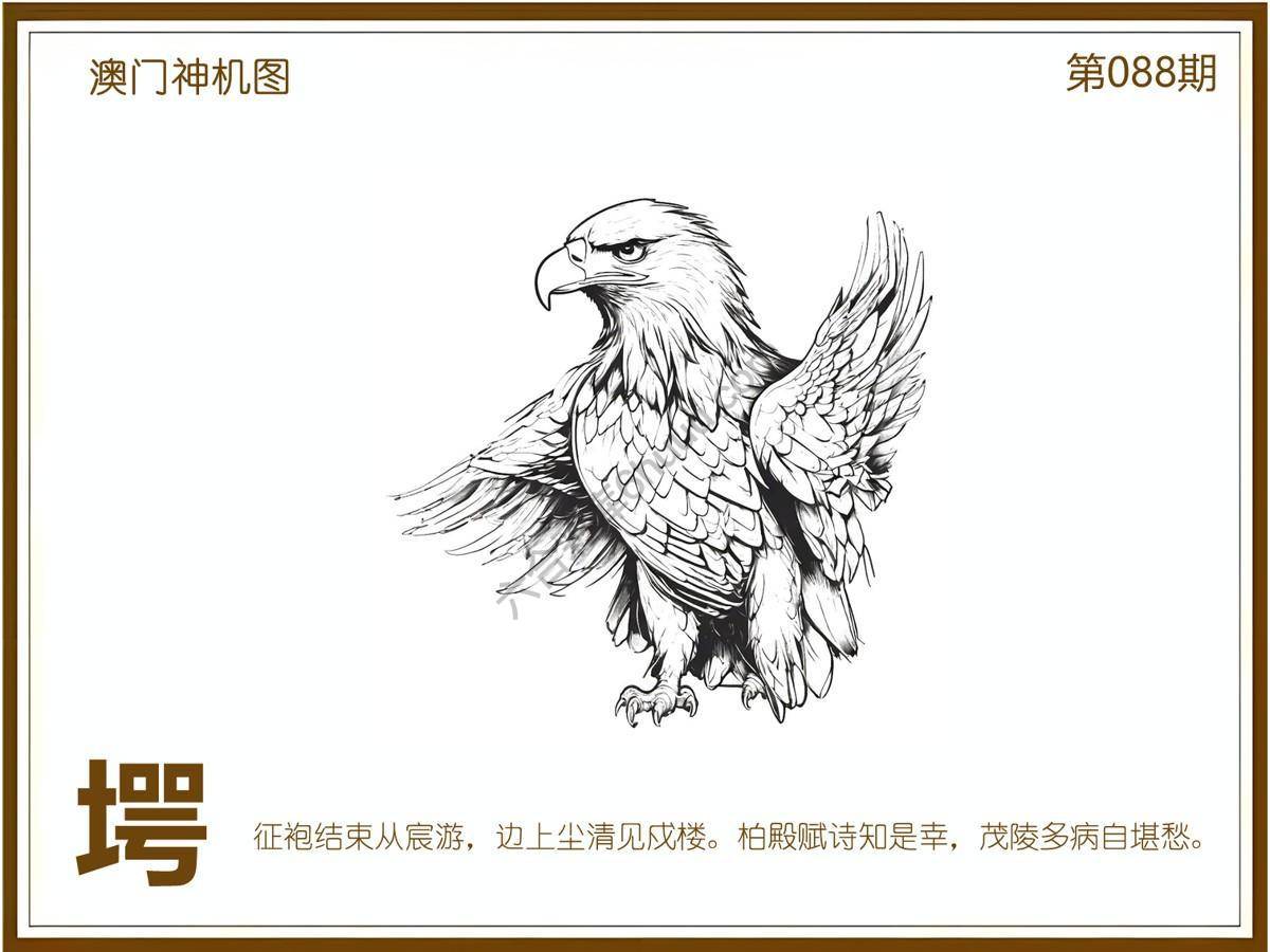 澳门神机图