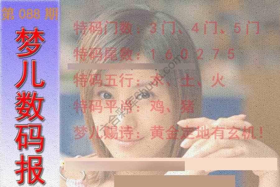 梦儿数码报