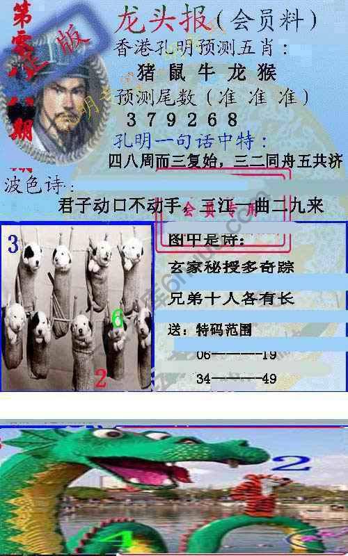 龙头报