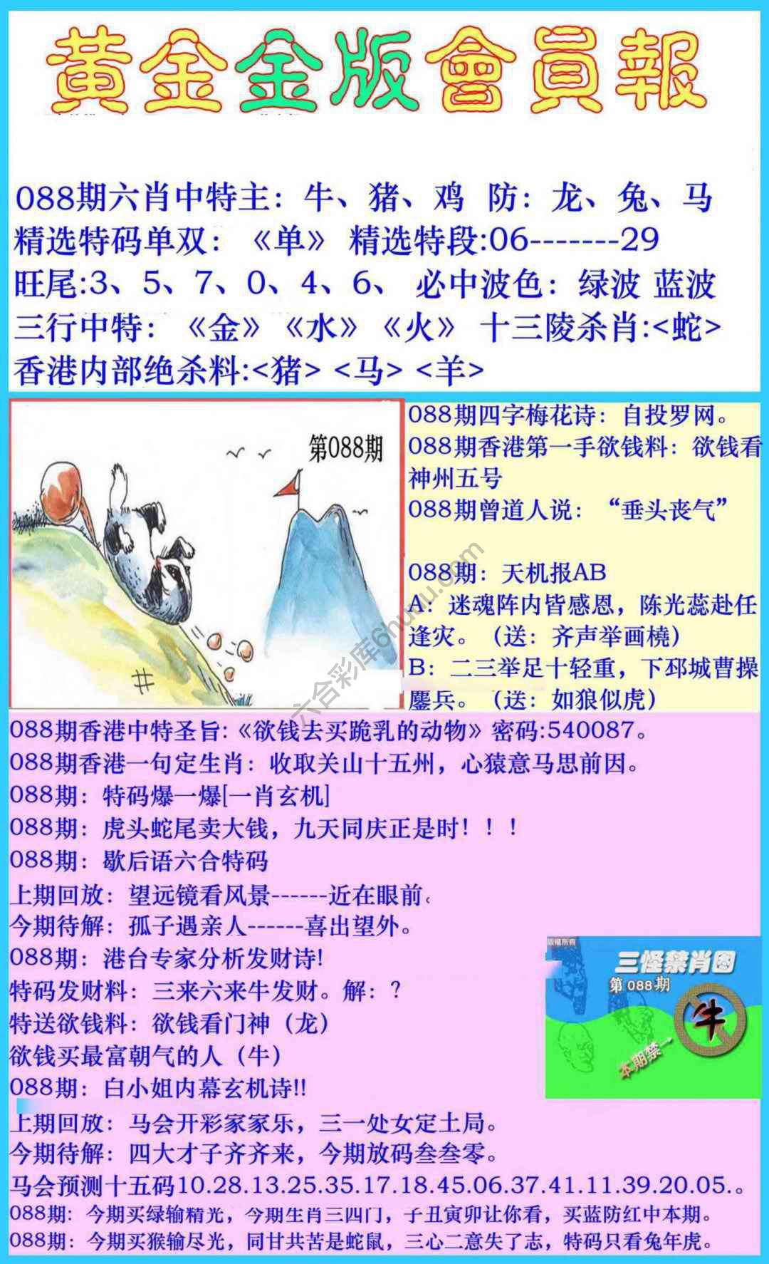 黄金金版会员报