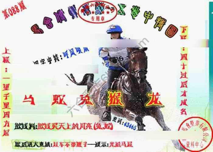 马会传真五肖料