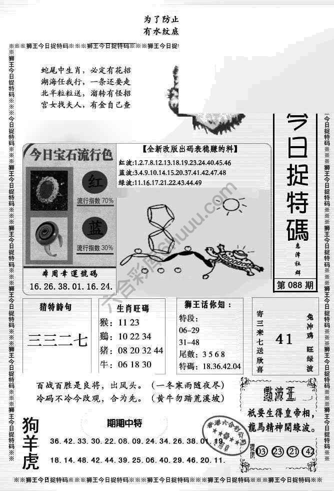 狮王今日抓特码