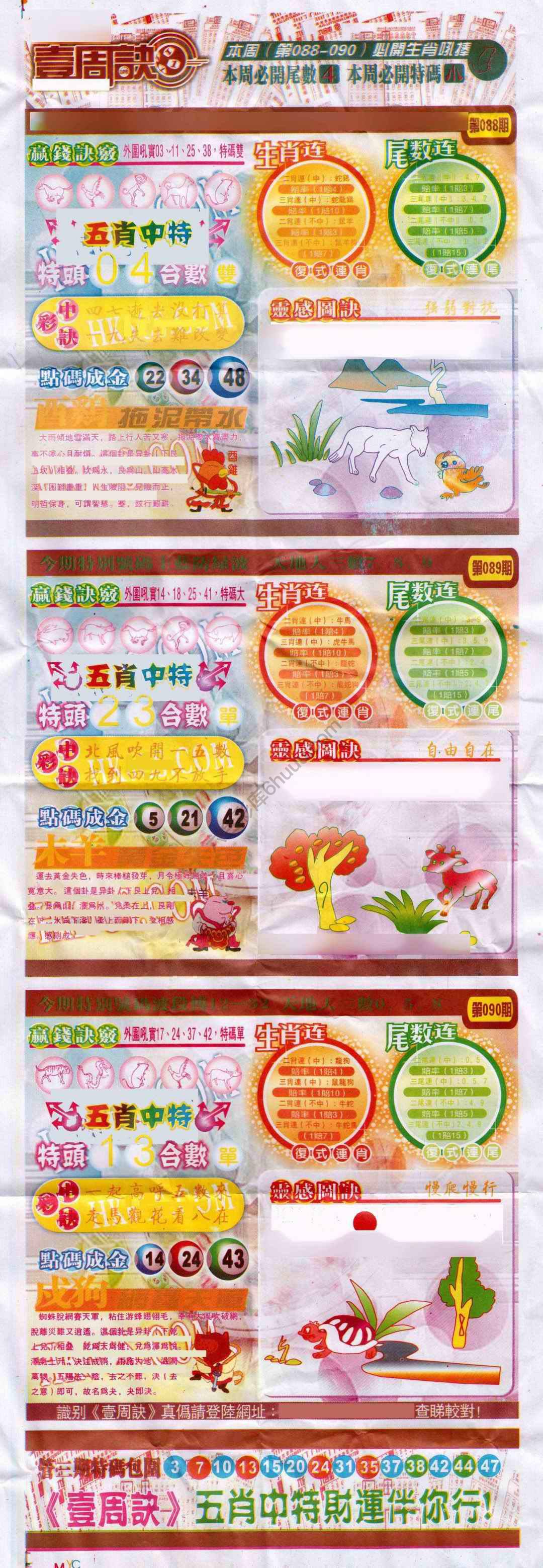 一周决