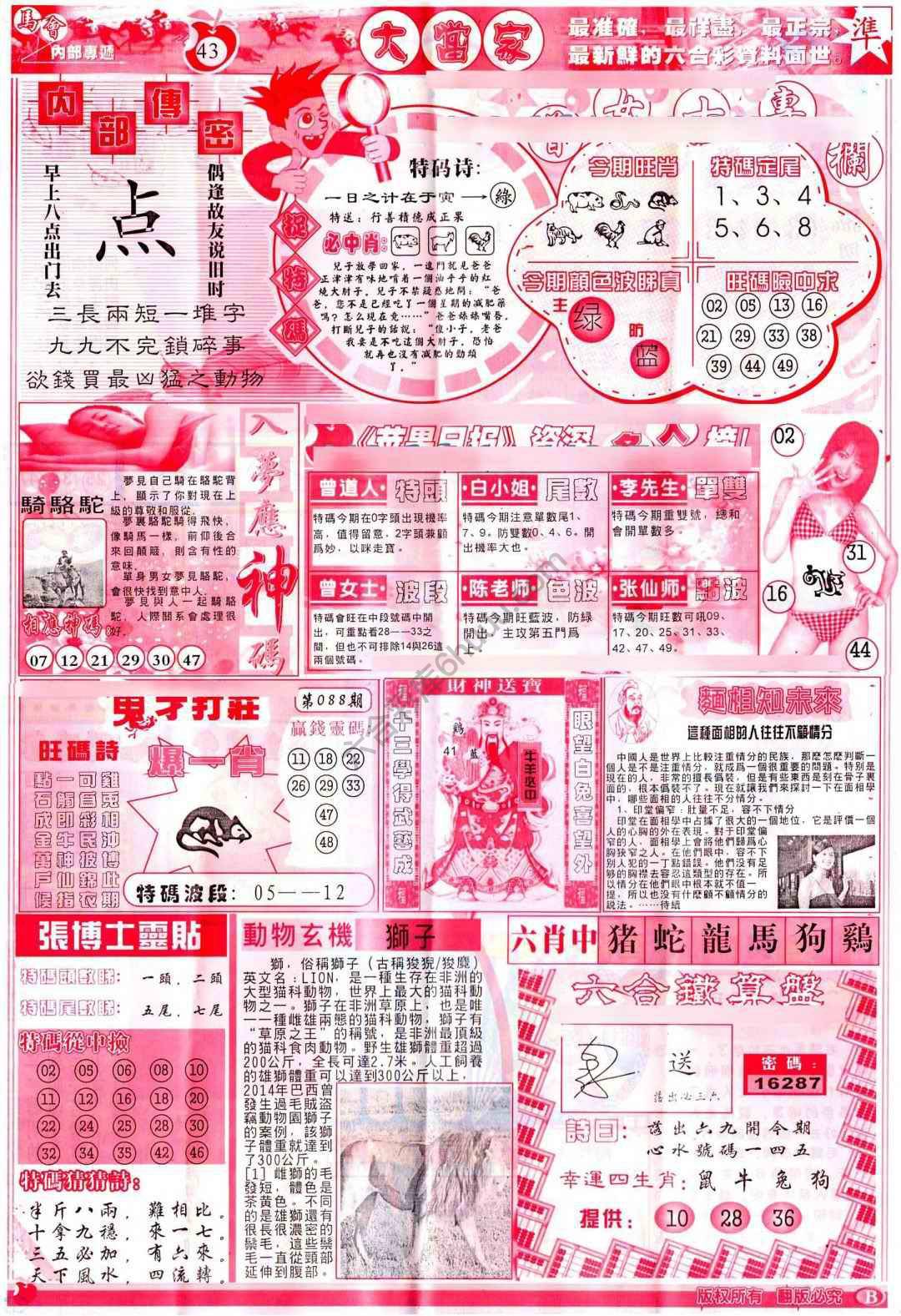 大当家