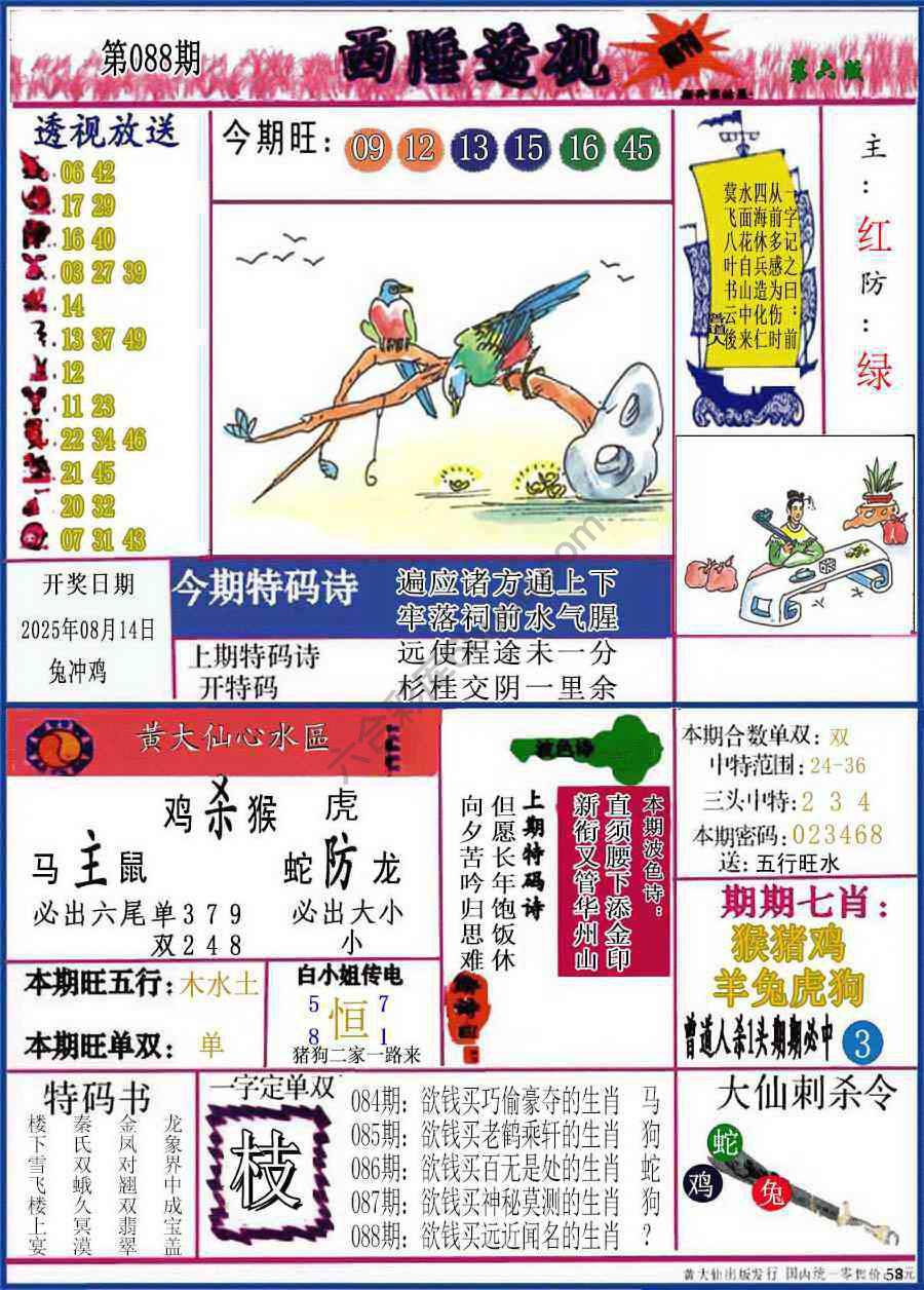 西陲透视（正版）