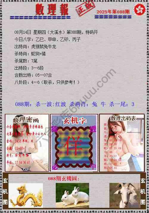 数理报