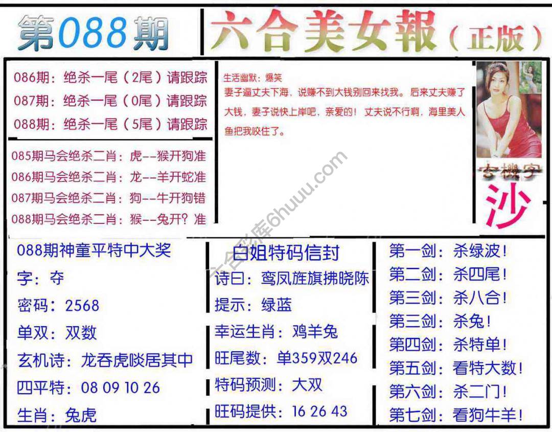 六合美女报