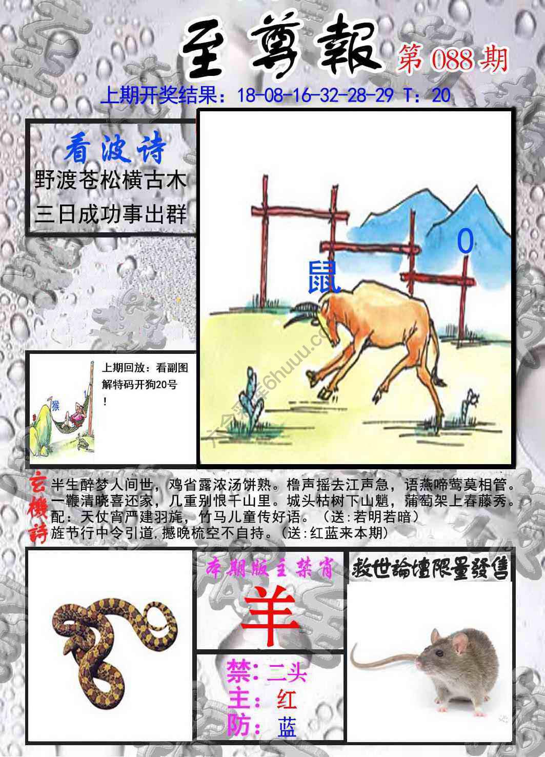 至尊报
