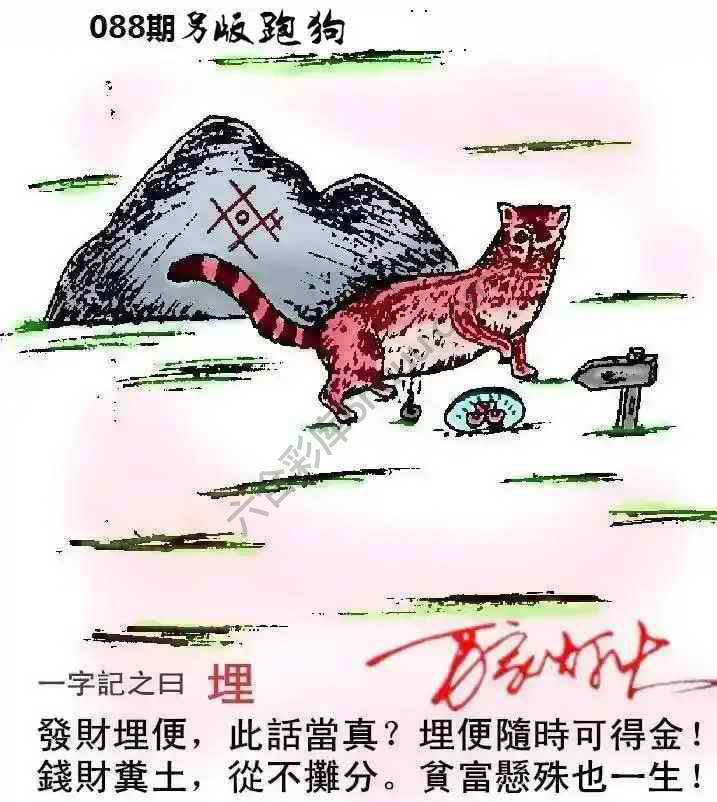 另版跑狗