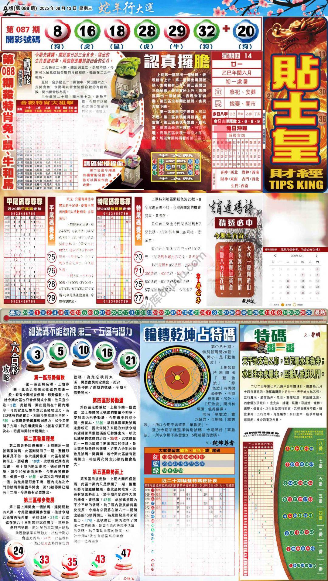 大版贴士皇