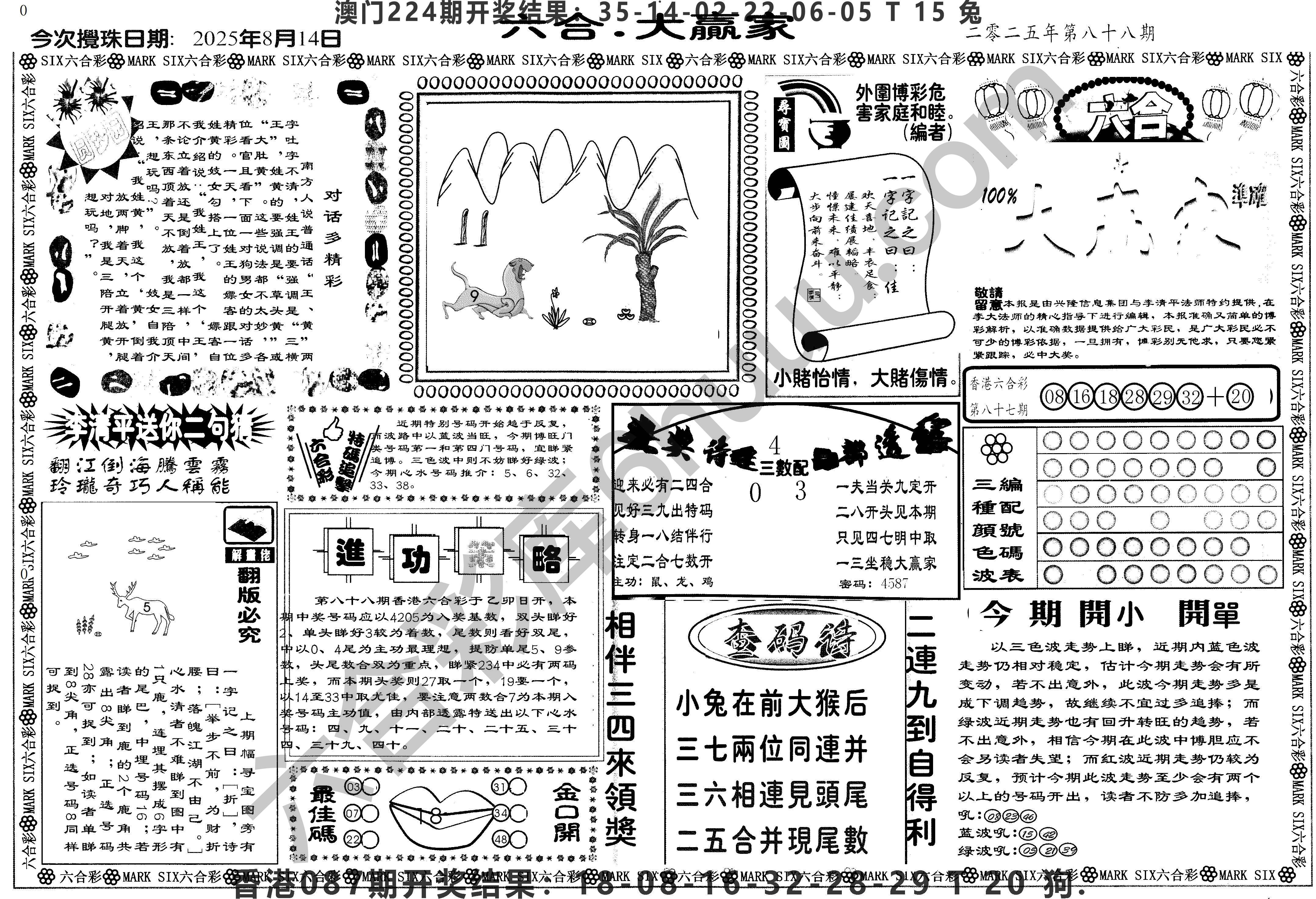 大家赢